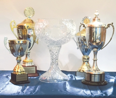 Pokale 2015